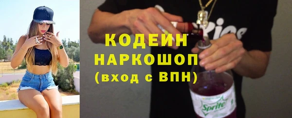 спиды Пересвет