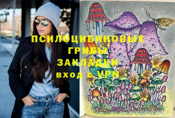 2c-b Переславль-Залесский
