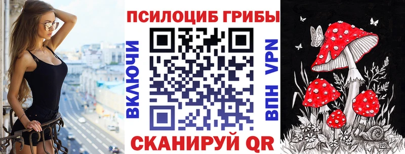 Галлюциногенные грибы Psilocybe  как найти наркотики  Асино 